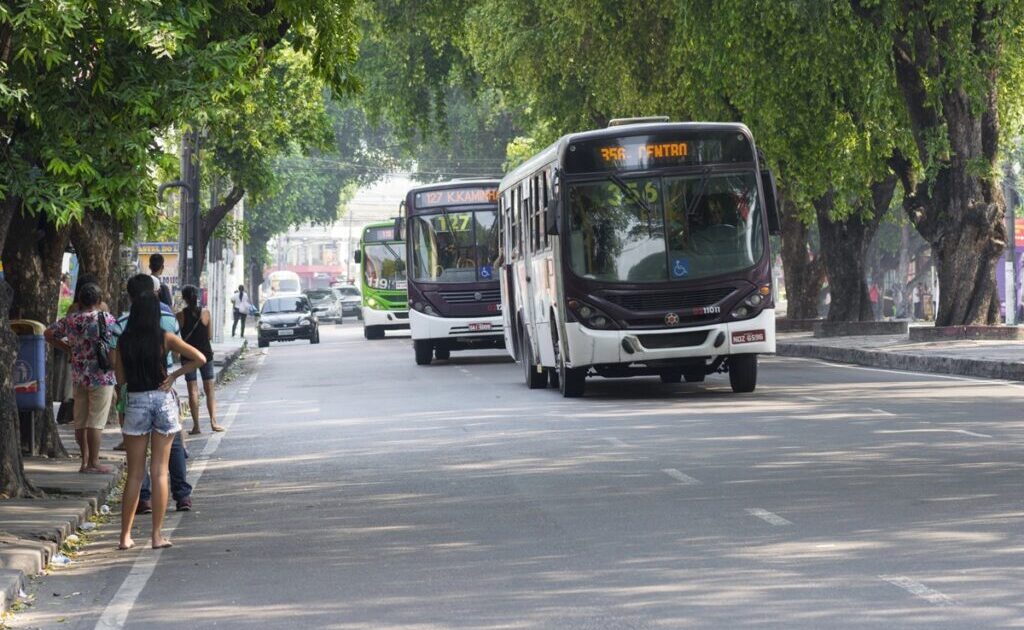 Transporte gratuito nas eleições: como votar no domingo