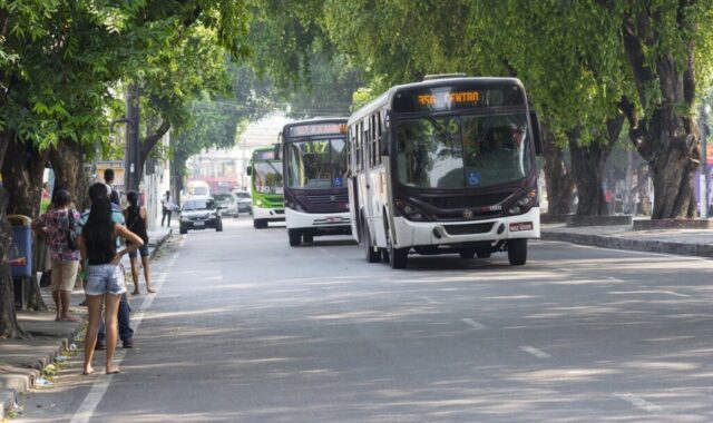 Transporte gratuito nas eleições: como votar no domingo