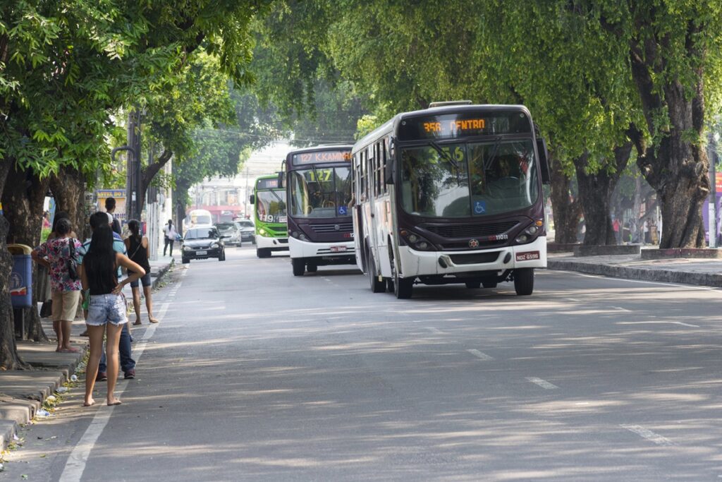 Transporte gratuito nas eleições: como votar no domingo